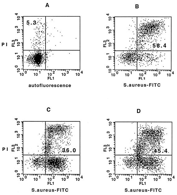 FIG. 1