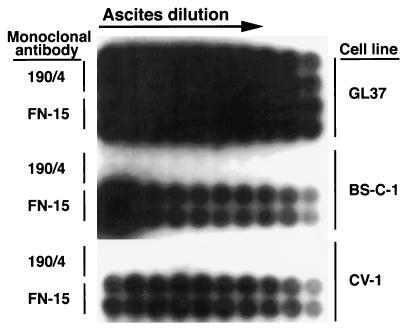 FIG. 1