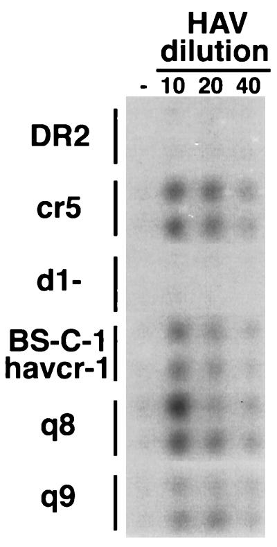 FIG. 5