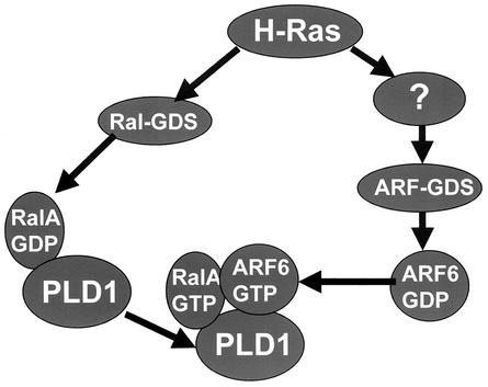 FIG. 9.