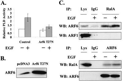 FIG. 8.