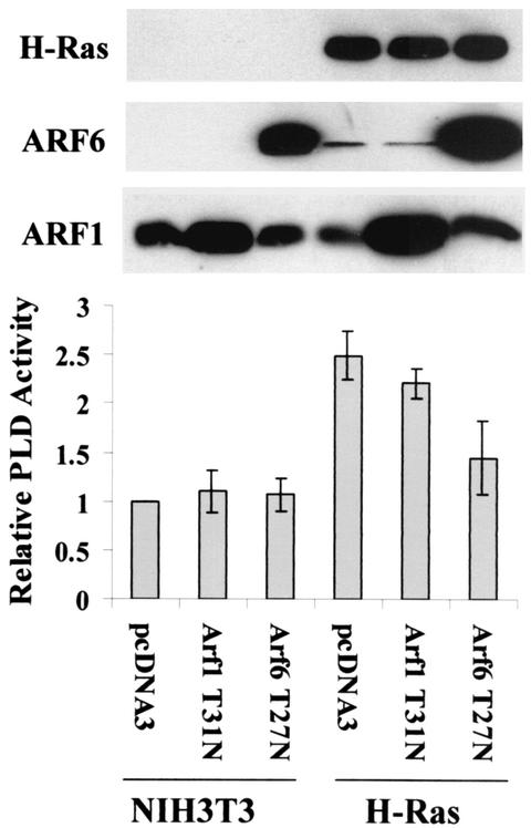 FIG. 7.