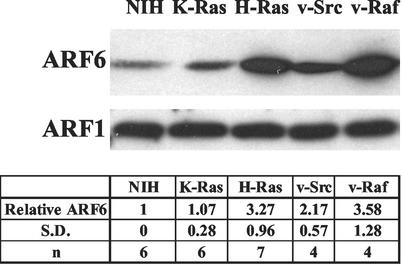 FIG. 5.