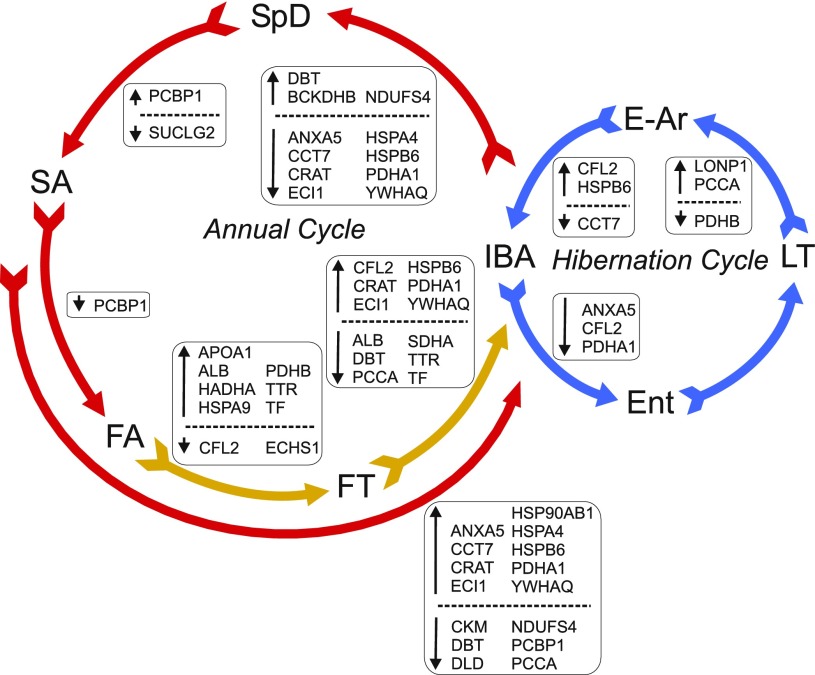 Fig. 6.