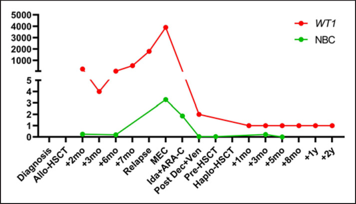 Fig. 1