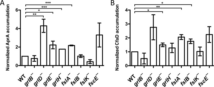 FIG 2 