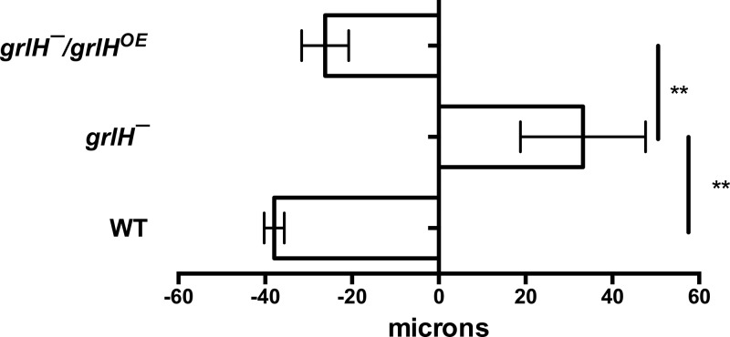 FIG 11 