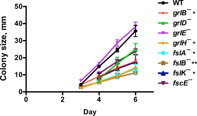 FIG 3 