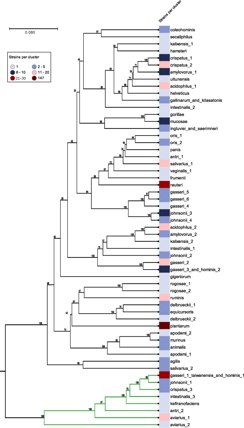 FIG 2 