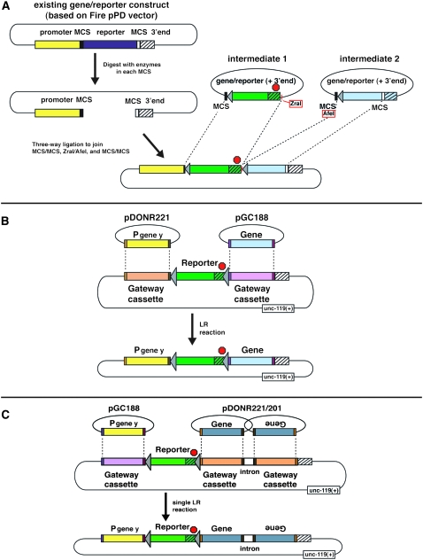 Figure 7.—