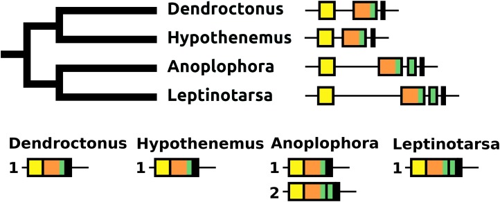 Figure 14