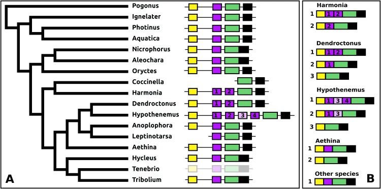 Figure 13