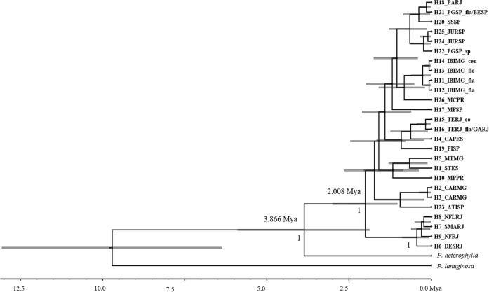 Fig. 6