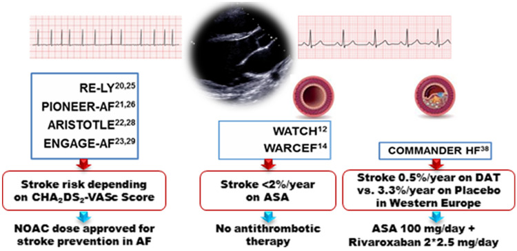 graphic file with name 392_2021_1930_Figa_HTML.jpg