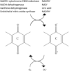 Fig. 2