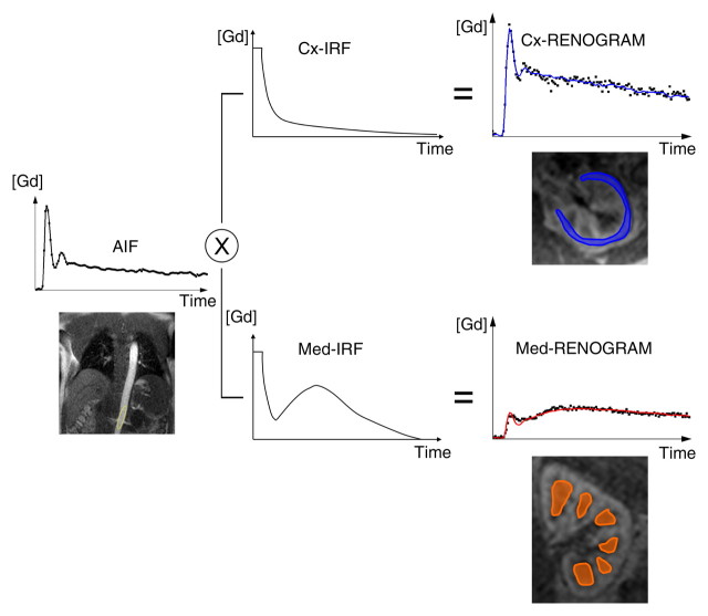 Figure 2b: