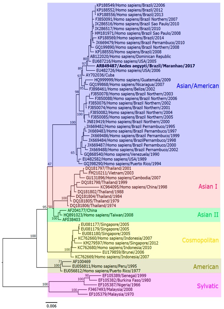 Figure 4