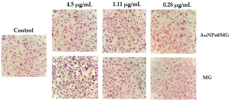 Figure 9