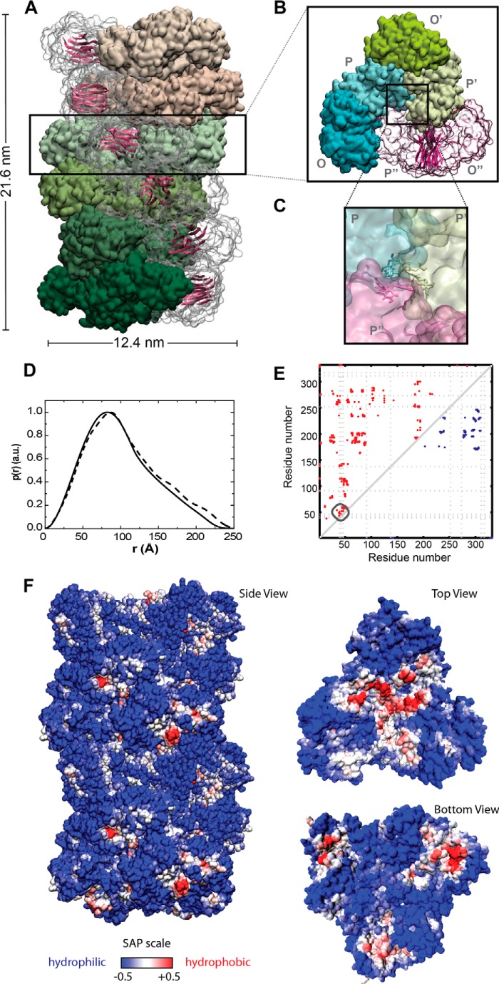 FIGURE 3.