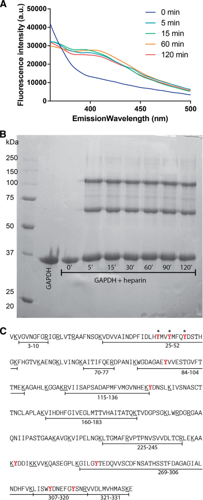 FIGURE 4.