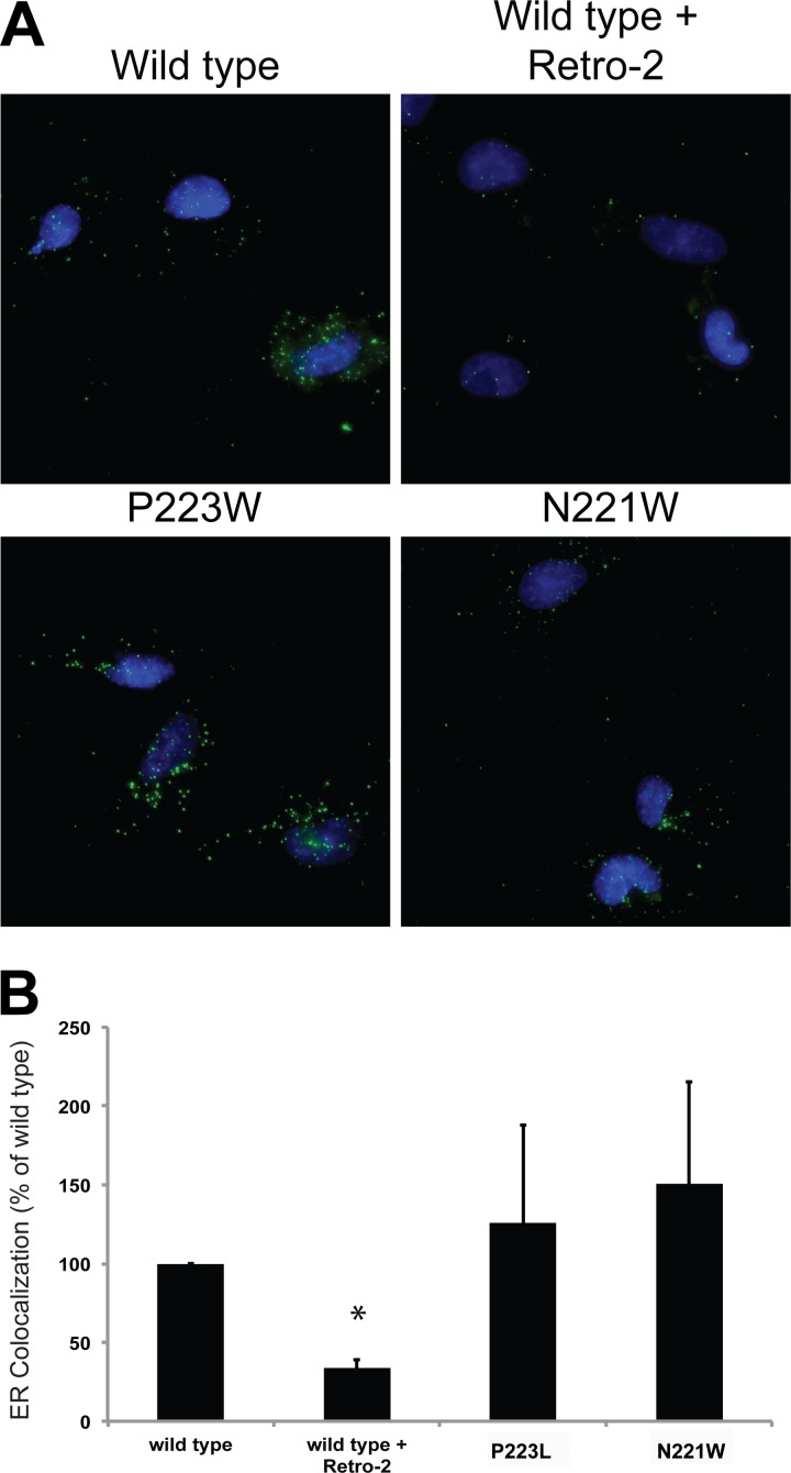 FIG 6