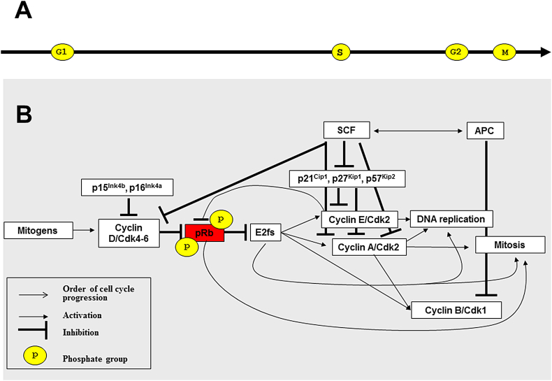 Figure 2