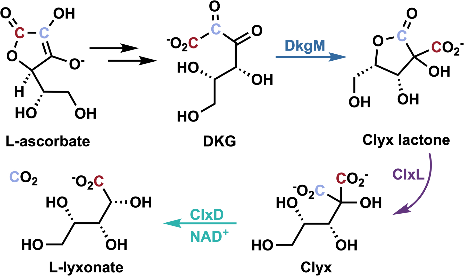 Figure 4.