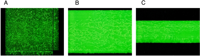 FIG. 5.