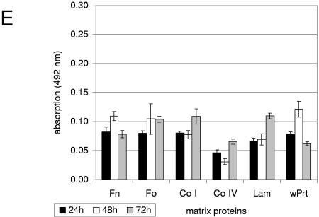 FIG.2.