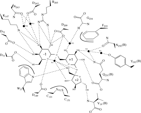 FIGURE 5.