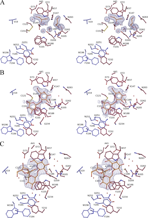 FIGURE 4.