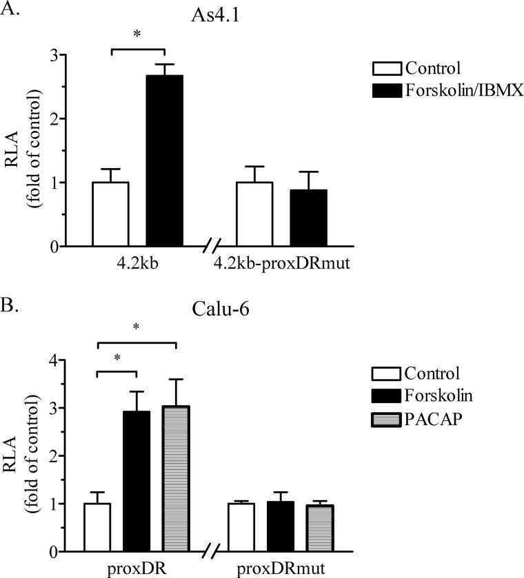 FIGURE 4.