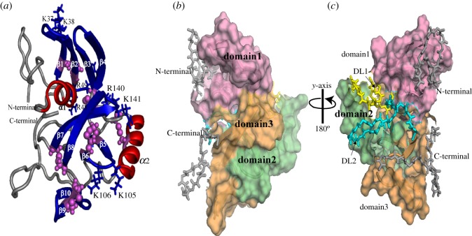 Figure 2.