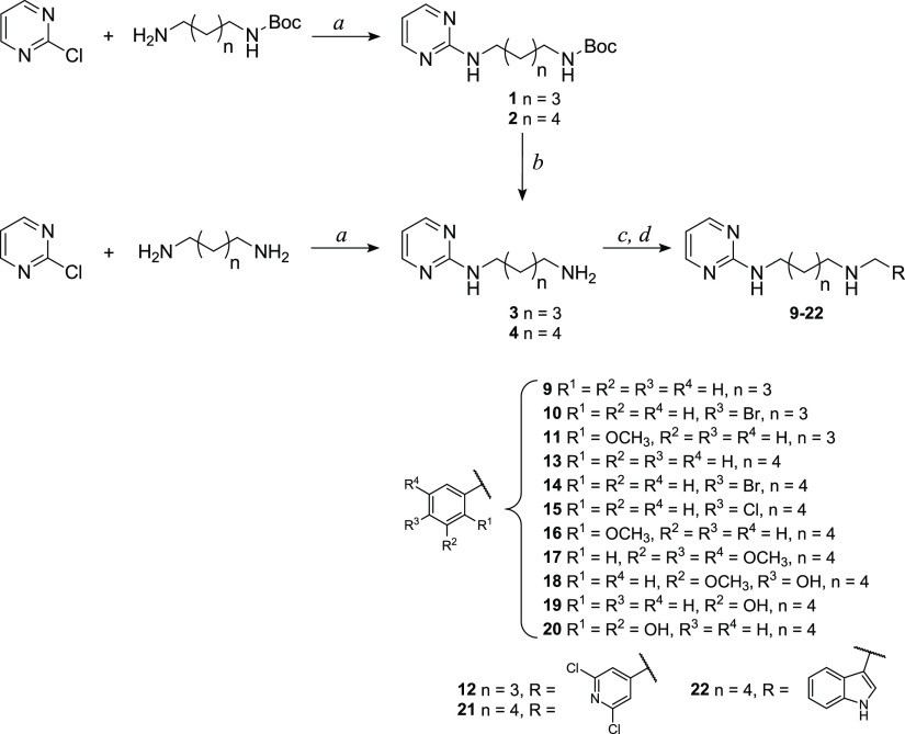 Scheme 1