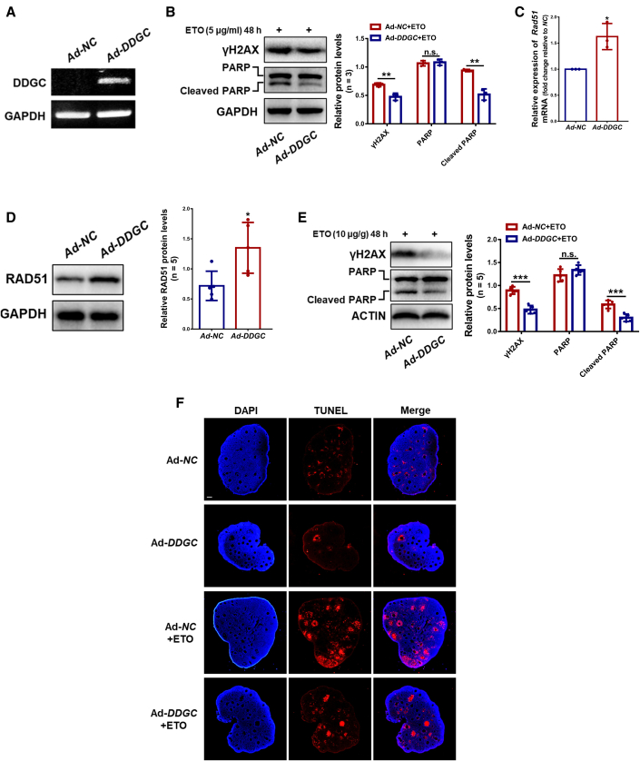 Figure 6