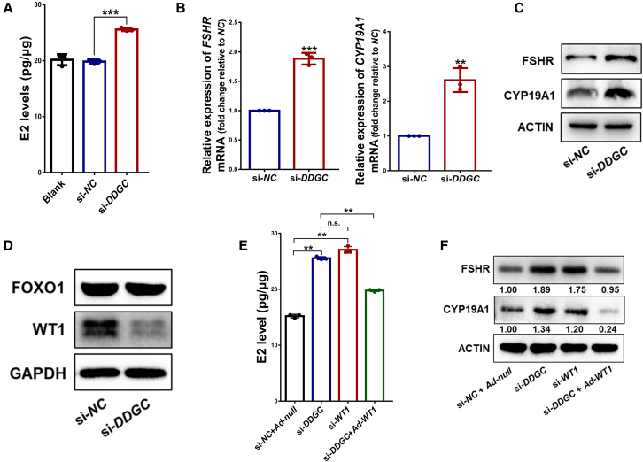 Figure 4