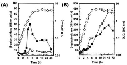 FIG. 6