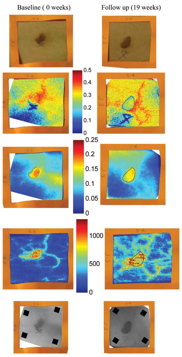 Fig. 10