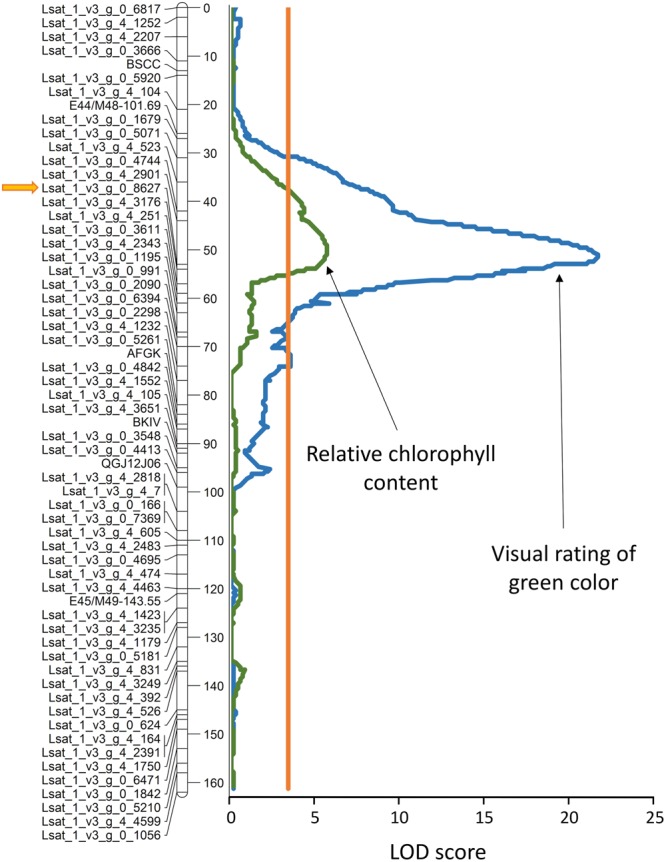 FIGURE 12