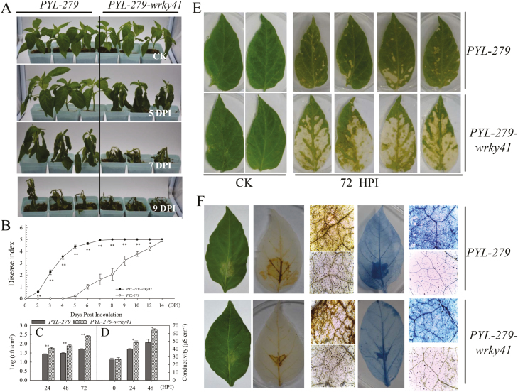 Fig. 8.