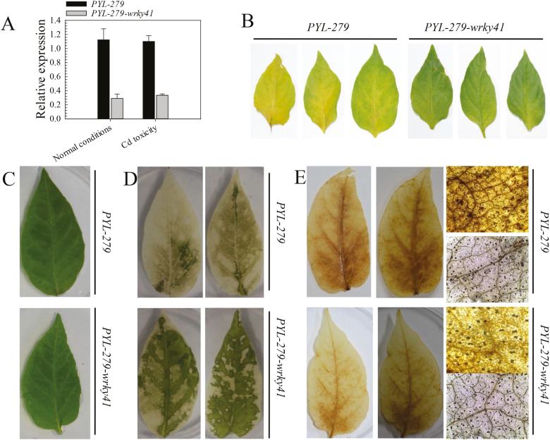 Fig. 3.