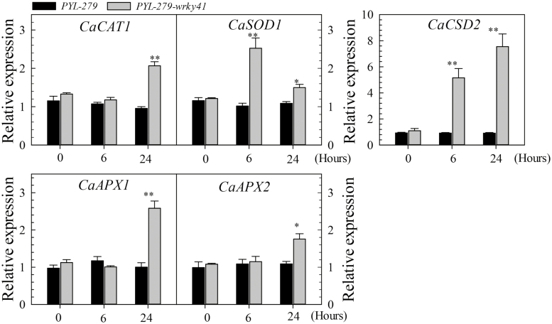 Fig. 4.