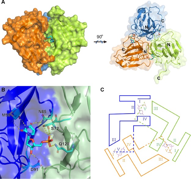 FIG 3