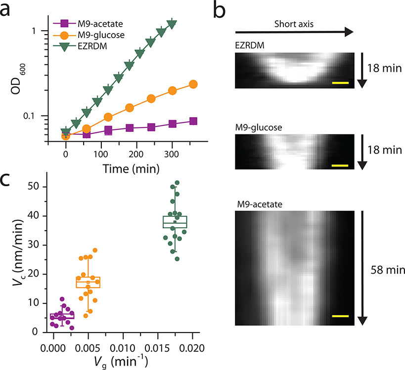 Extended Data Fig. 6