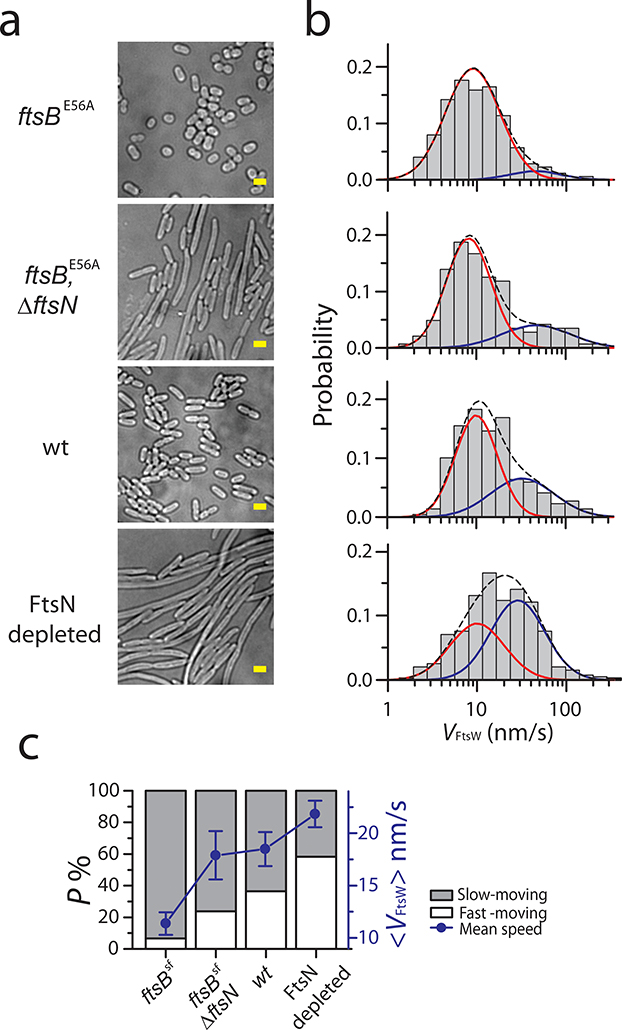 Figure 5.