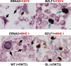 Fig 8