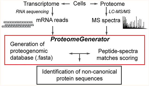 graphic file with name nihms-1038641-f0001.jpg