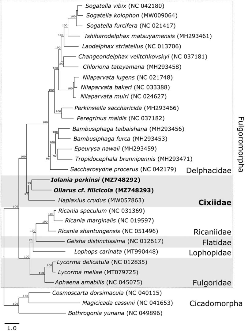 Figure 1.