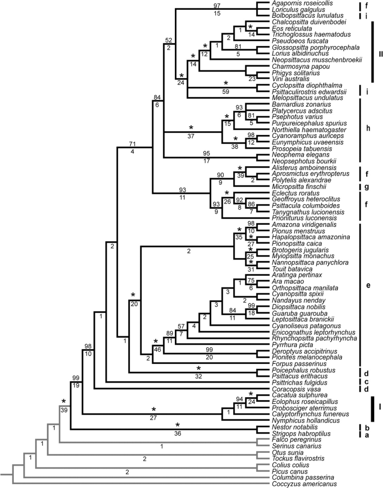 FIG. 1.—