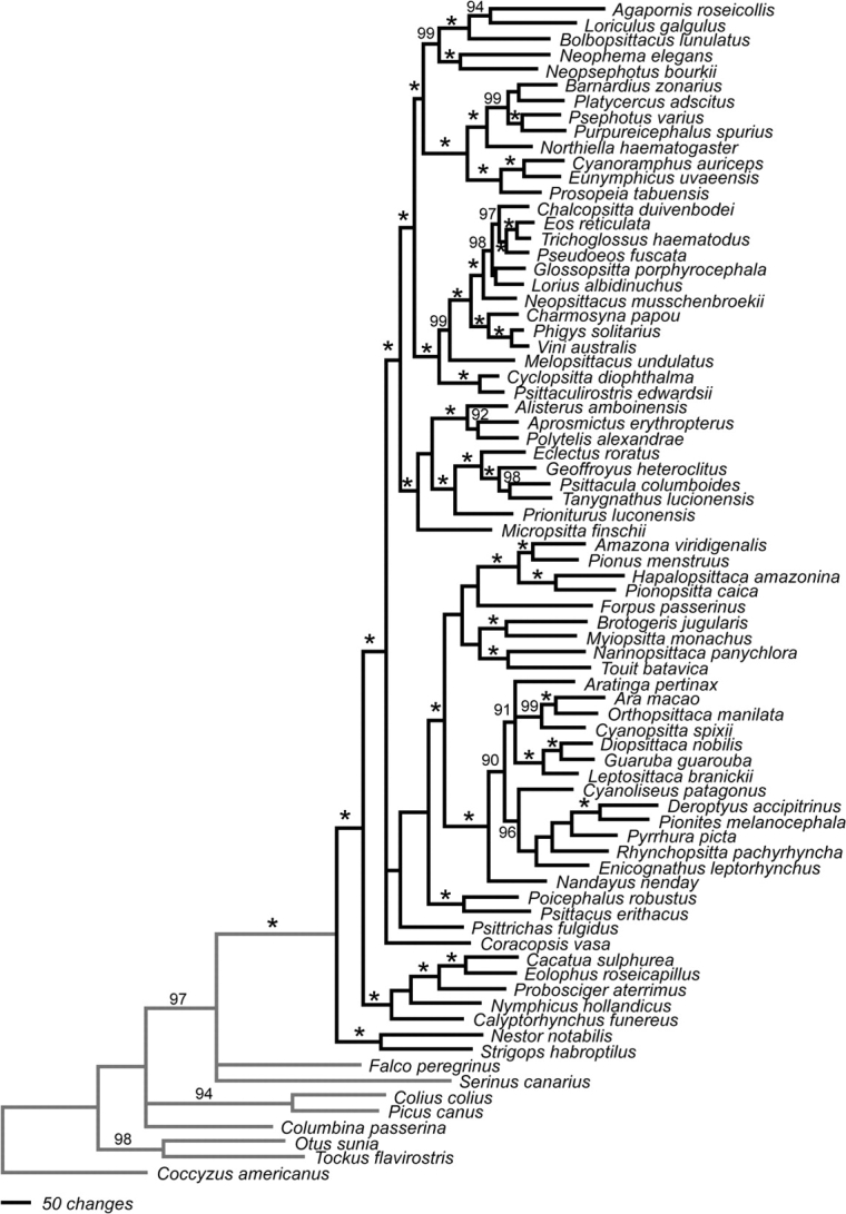 FIG. 2.—